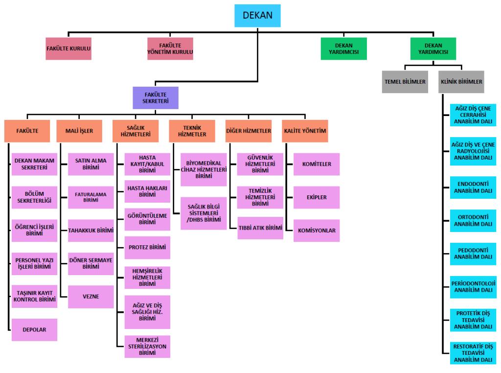 Organizasyon Yapısı