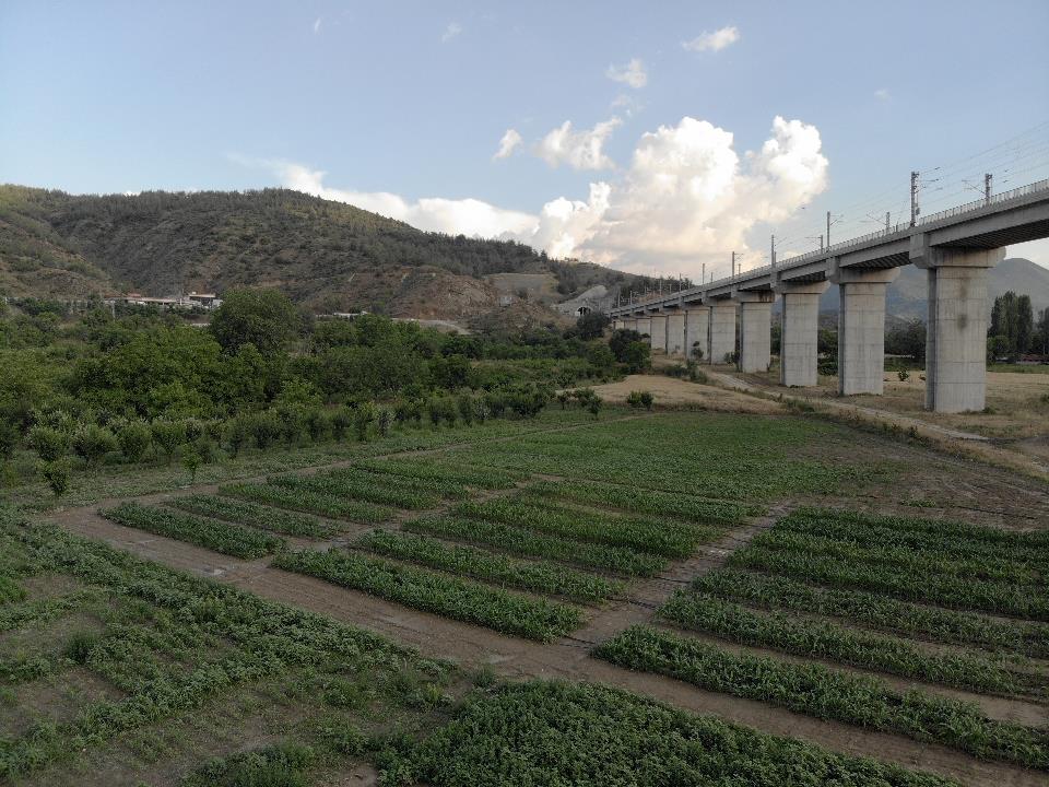 Tarla Bitkileri Üzerine Yapılan Çalışmalar