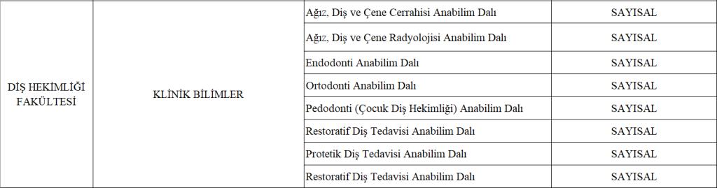 ALES Puan Türleri