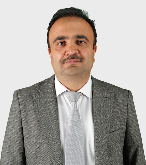 Prof. Dr. Mesut IŞIK