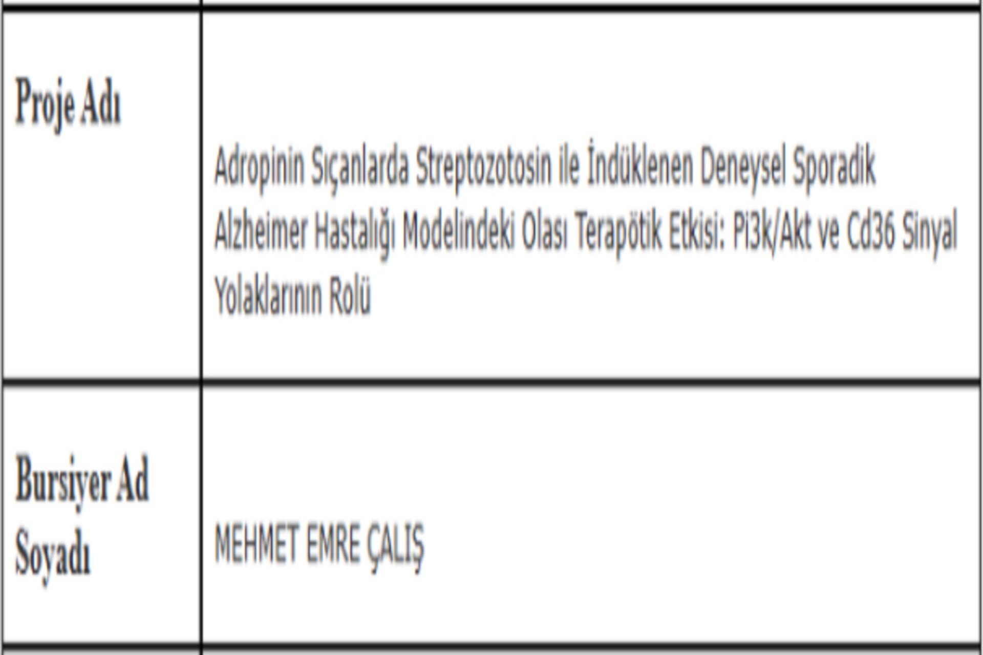Akademisyenimiz ve Öğrencimizden Proje Başarısı