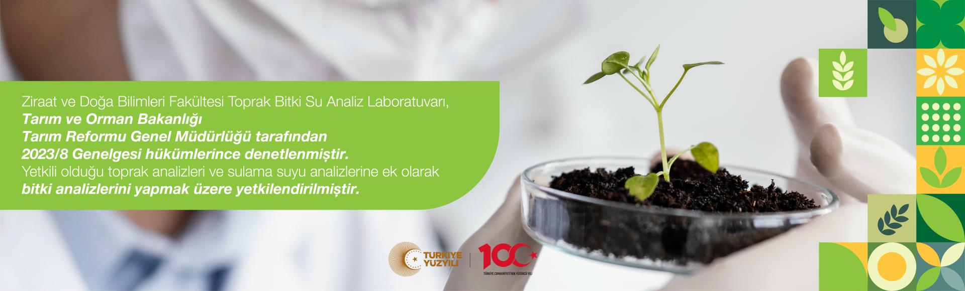 surgu fotoğraf 3924