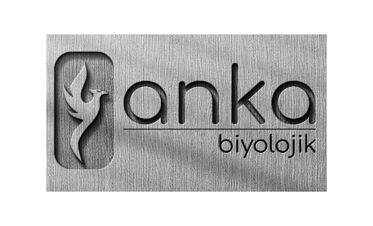  /surgu/4133_b357_Slayt52.PNG bağlantısı
