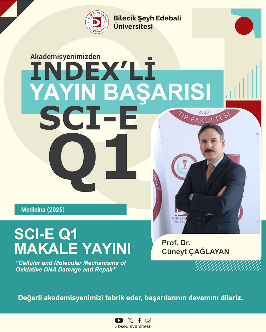 Q1 Kategorisinde Uluslararası Yayın Başarılarımız /surgu/5714_2121_2.png bağlantısı